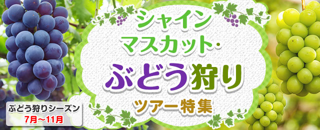 【神奈川（町田市含む）発】シャインマスカット狩り・ぶどう狩りツアー・旅行