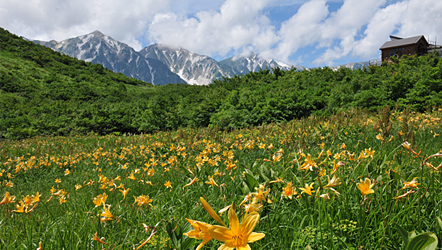 八方尾根／神奈川県の木部新六様の作品