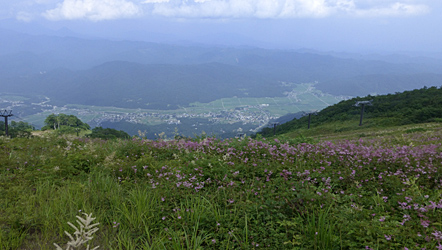白馬五竜／千葉県のPN：アイカム様の作品
