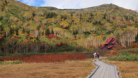栂池高原／大阪府のPN：すみちゃん様の作品