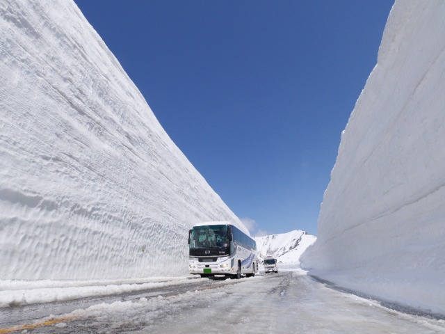 （イメージ）※雪の大谷ウォークは例年4月中旬～6月25日を予定しております。壁の高さは積雪量で変わります