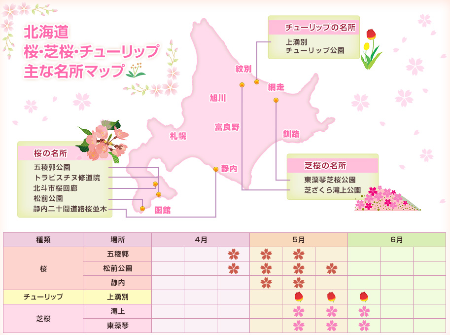 北海道 桜・芝桜・チューリップ 主な名所マップ