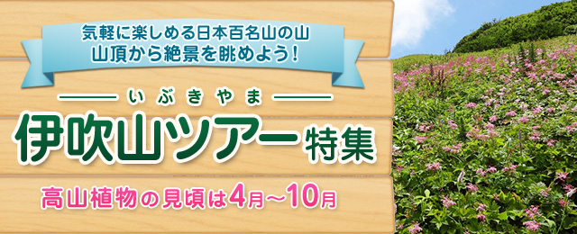 【埼玉・群馬・栃木発】伊吹山ツアー・旅行