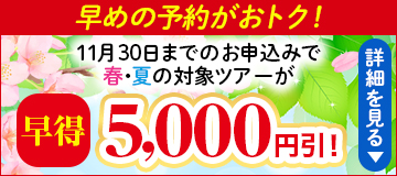 最好提前預訂!11月30日前報名參加的行程優惠5,000日元!進一步了解