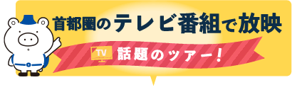 テレビ番組で放映された話題のツアー