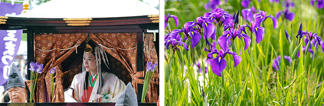 左：斎王まつり（イメージ） 右：斎宮の花しょうぶ群落（イメージ）※花の見ごろは6月上旬～中旬