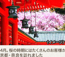 4月。桜の時期にはたくさんのお客様が京都・奈良を訪れました
