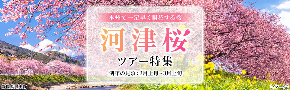 【東京23区発】列車で行く河津桜ツアー・旅行
