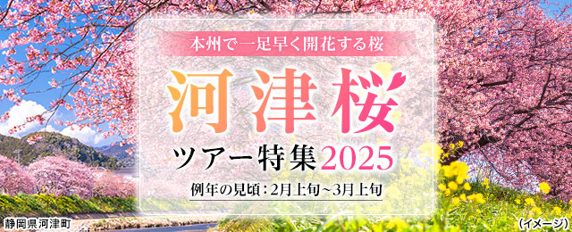 【中部・東海発】河津桜ツアー・旅行