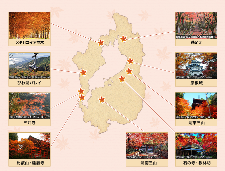 滋賀紅葉スポットのご紹介