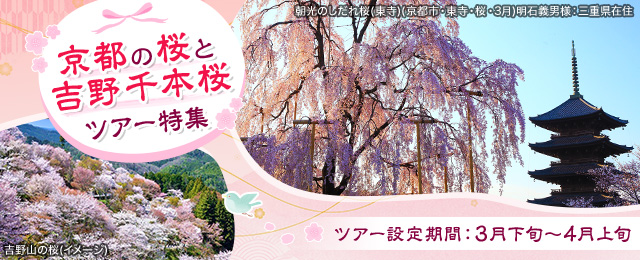 【東京23区発】列車・飛行機で行く京都の桜と吉野千本桜ツアー・旅行2024