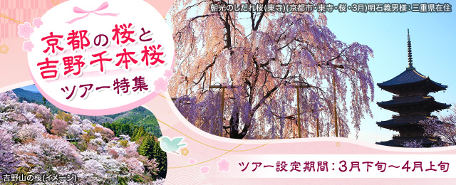 【関西発】京都の桜と吉野千本桜ツアー・旅行2024