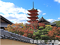 写真提供：広島県