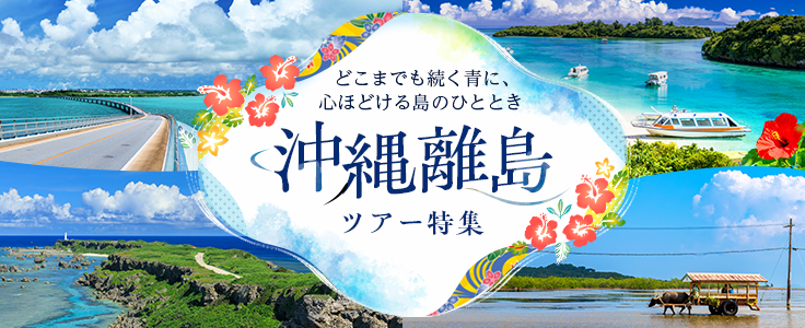 八重山諸島ツアー（石垣島・竹富島・小浜島・西表島など）
