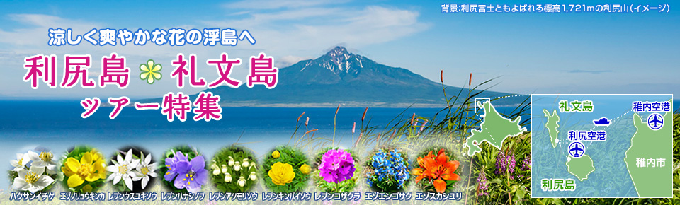 利尻島・礼文島の花カレンダー
