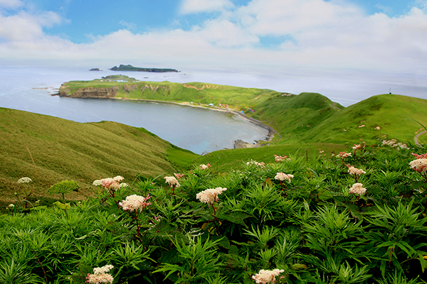 礼文島（イメージ）