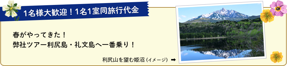 春がやってきた！ 弊社ツアー利尻島・礼文島へ一番乗り！