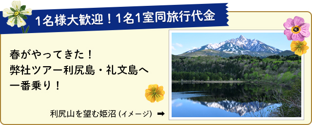春がやってきた！ 弊社ツアー利尻島・礼文島へ一番乗り！