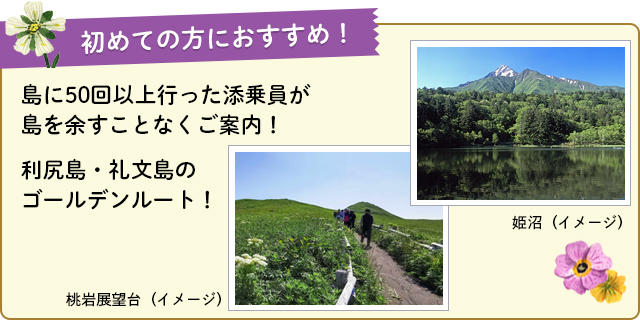 初めての方におすすめ!島に50回以上行った添乗員が島を余すことなくご案内!