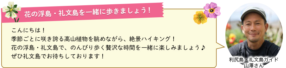 花の浮島・礼文島を一緒に歩きましょう！