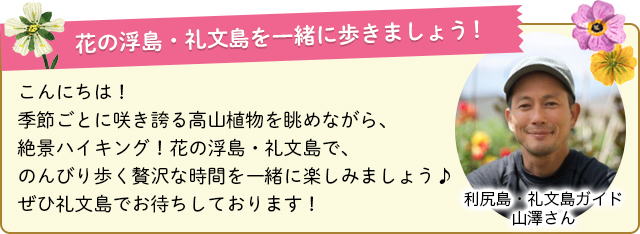 花の浮島・礼文島を一緒に歩きましょう！