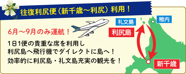 6月～9月のみ運航！1日1便の貴重な席を利用し利尻島へ飛行機でダイレクトに島へ！効率的に利尻島・礼文島充実の観光を！