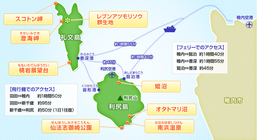 見どころ 食 利尻島 礼文島旅行 ツアー クラブツーリズム