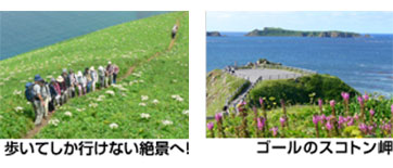 歩いてしか行けない絶景へ！ ゴールのスコトン岬