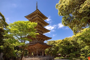 妙宣寺の五重塔