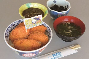 佐渡天然ブリカツ丼