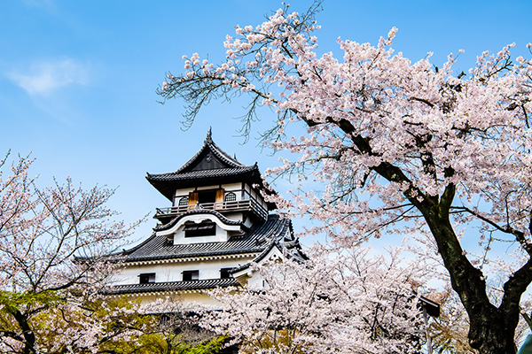 犬山城（イメージ）