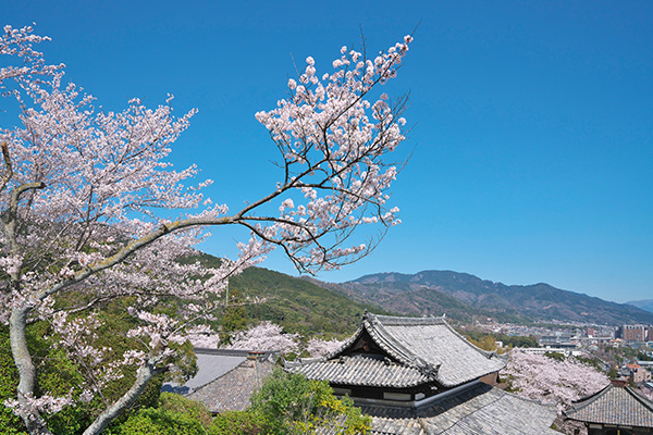 三井寺（イメージ）