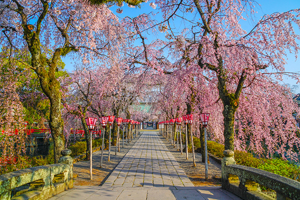 三嶋大社（イメージ）