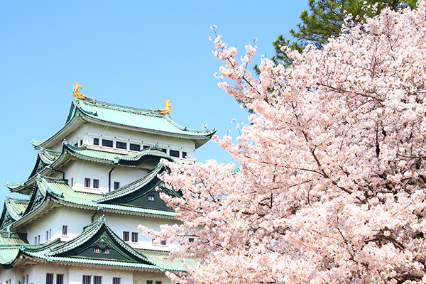名古屋城（イメージ）