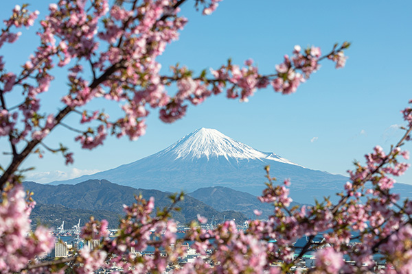 日本平（イメージ）