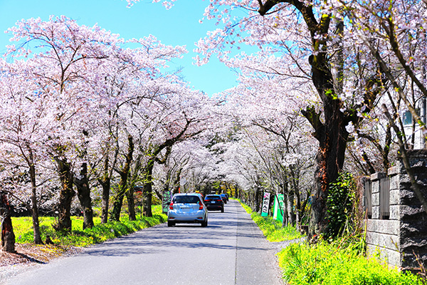 太平山（イメージ）