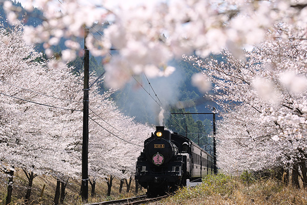 大井川鐵道（イメージ）