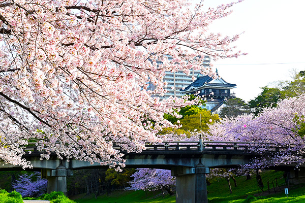 お花見 国内販売中/28日発売予定】アディダス オリジナルス ZX 8000