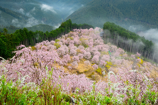高見の郷（イメージ）