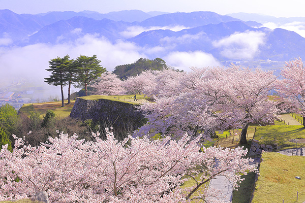 竹田城跡（イメージ）