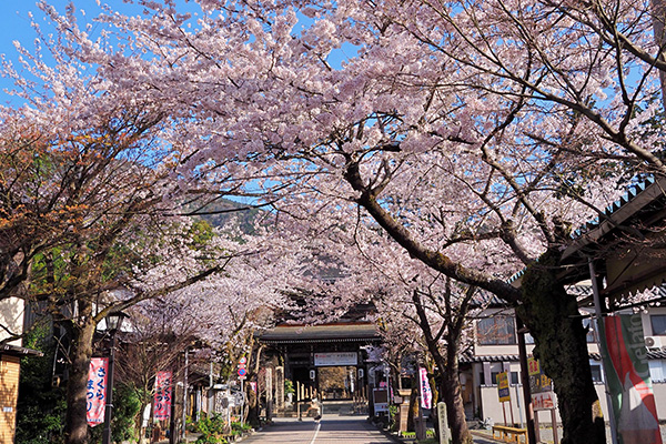 谷汲山華厳寺・仁王門（イメージ）