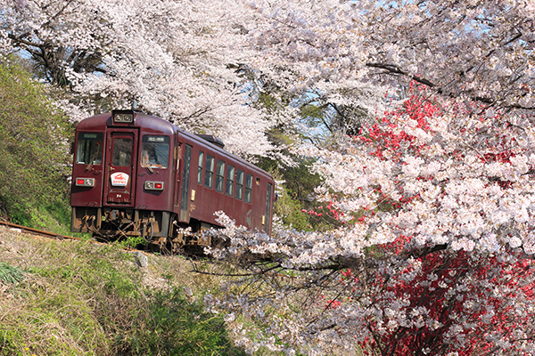 わたらせ渓谷鐵道（イメージ）