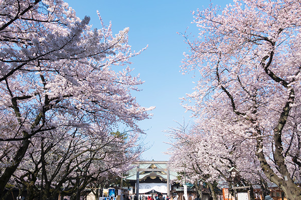 靖国神社（イメージ）