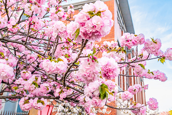 造幣局本局（イメージ）
