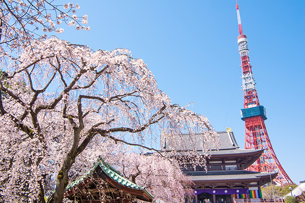 増上寺（イメージ）