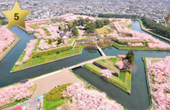 五稜郭公園イメージ