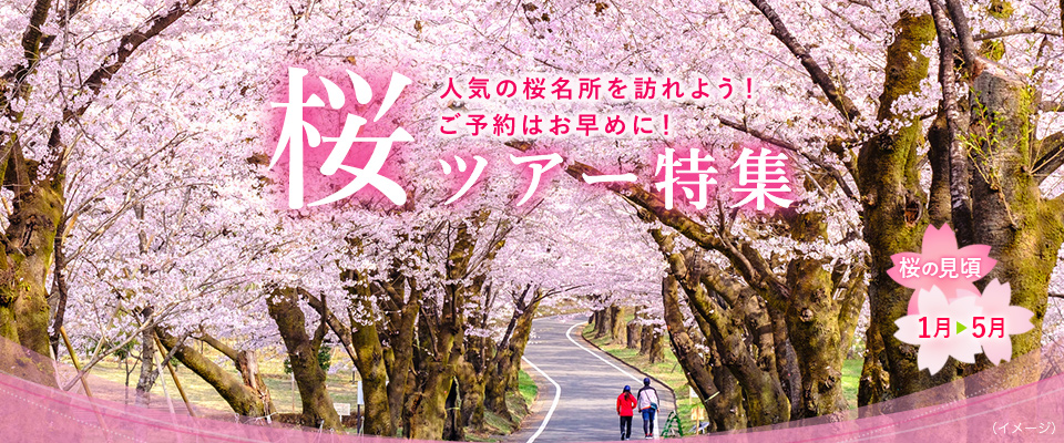 【九州発】桜・お花見ツアー・旅行2024