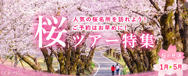 【九州発】桜・お花見ツアー・旅行2024