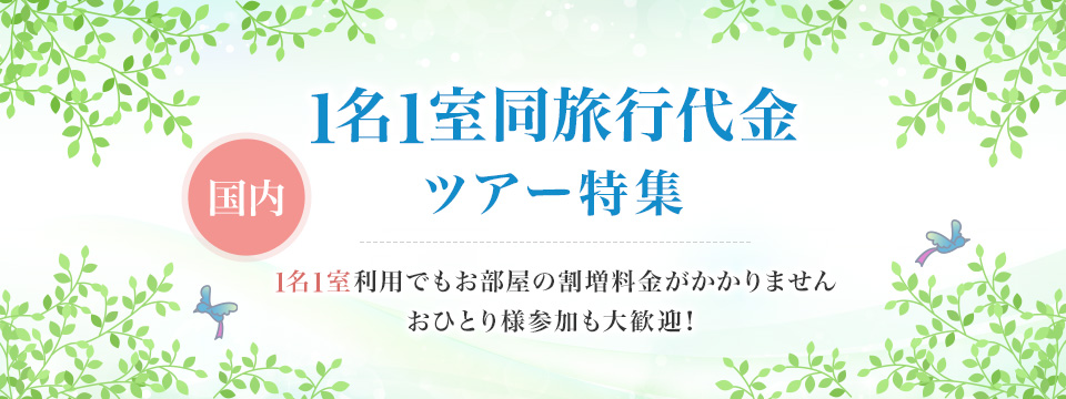 【北海道発】1名1室同旅行代金　国内旅行・ツアー