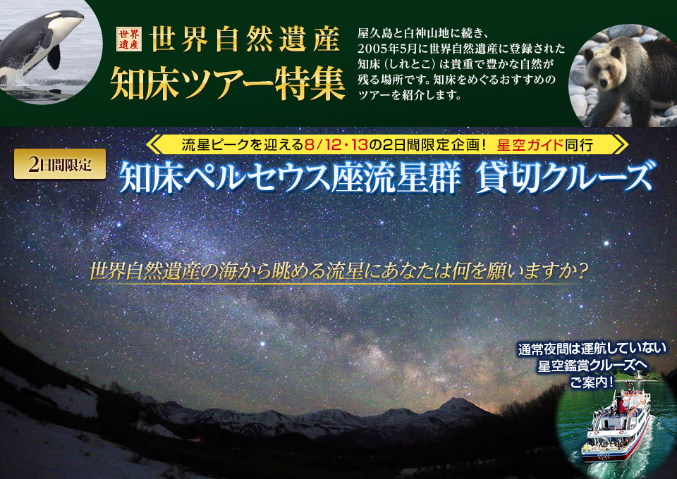 特別企画 知床ペルセウス座流星群ツアー・旅行 貸切クルーズ